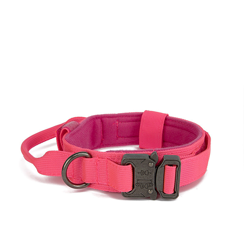 Hundekragen – Bild 5 | LuxeStyle