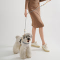Hundegeschirr mit Leine – Bild 3 | LuxeStyle