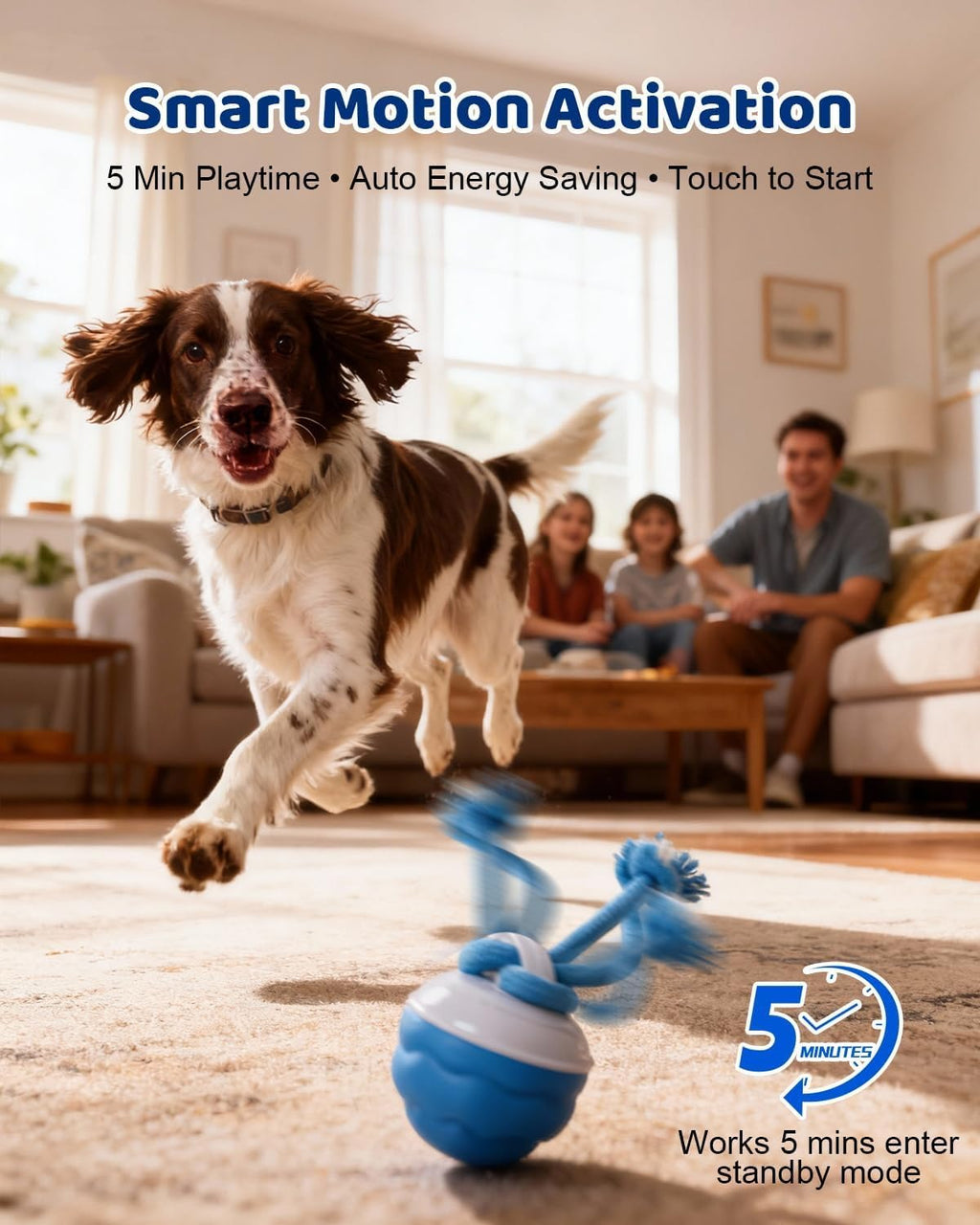 Interaktiver Hunde-Spielball mit Seil