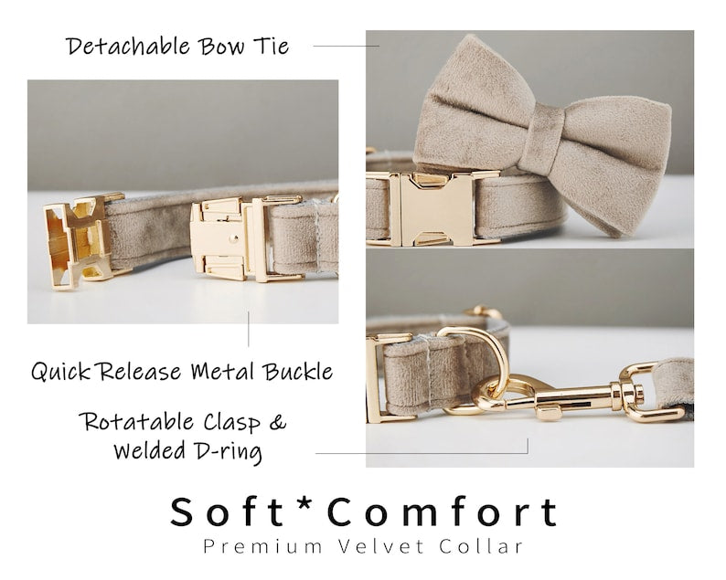 Samt-Hundehalsband mit Leine und Schleife – Bild 16 | LuxeStyle
