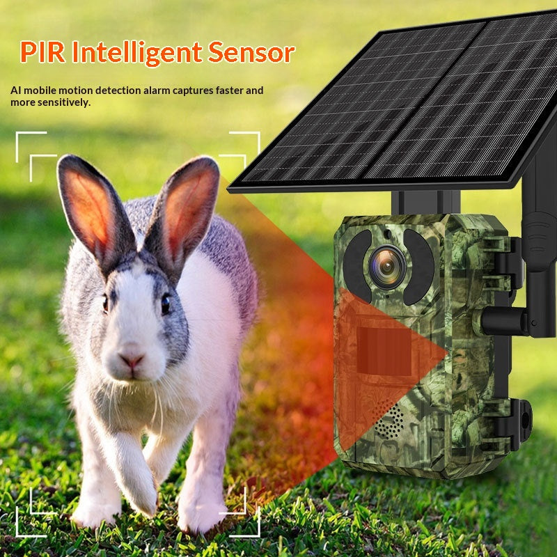 Solarbetriebene 4G Wildtierkamera