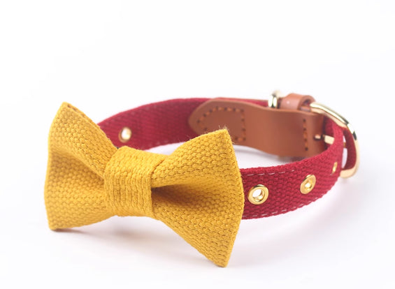 Halsband & Leine Set aus Canvas mit Schleife – Bild 8 | LuxeStyle