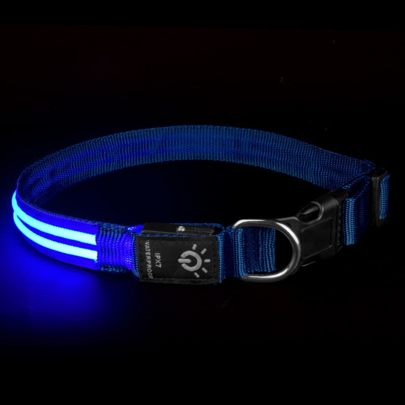 LED-Halsband für Haustiere, wasserdicht – Bild 1 | LuxeStyle