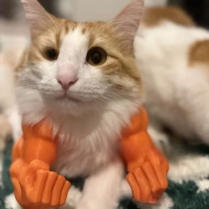 Lustige Katzen-Muskelhand zum Aufhängen – Bild 2 | LuxeStyle