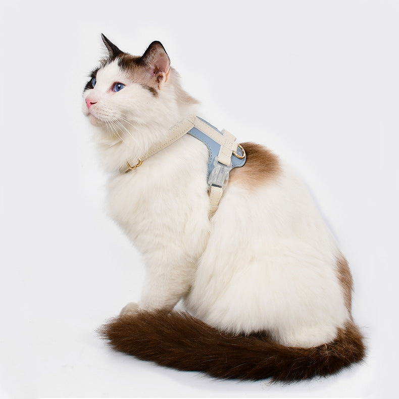 Hunde- und Katzen-Geschirr und Leinen