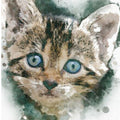 Diamond Painting Katze