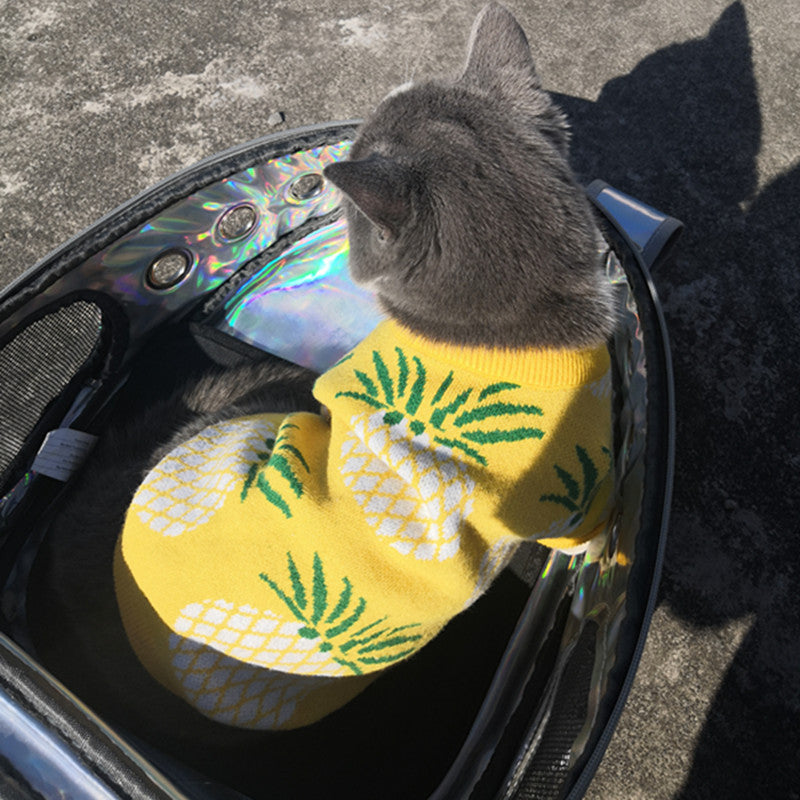 Haustierkleidung mit Ananas-Print – Bild 6 | LuxeStyle