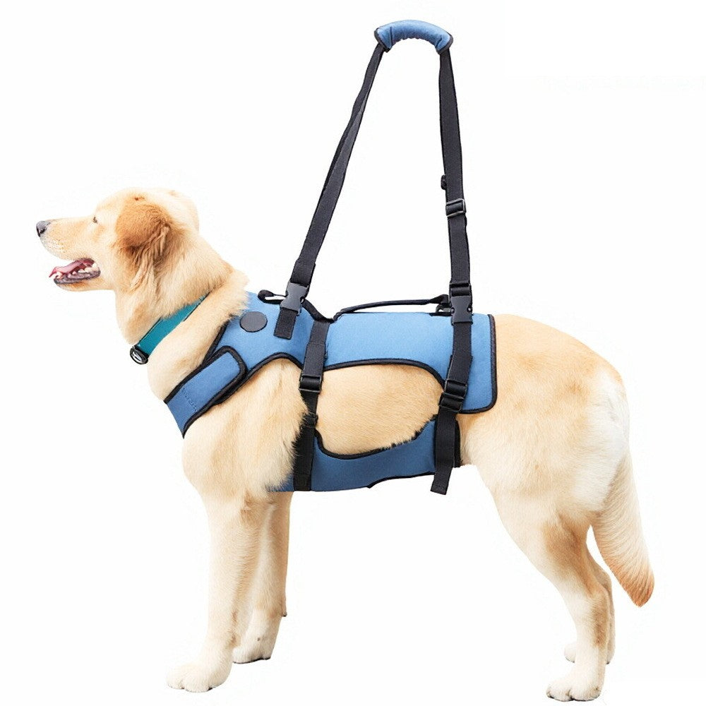 Gehhilfer für Hunde