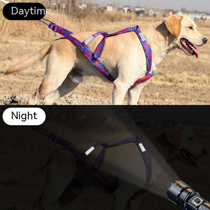Hunde-Brustgeschirr mit Führseil – Bild 11 | LuxeStyle