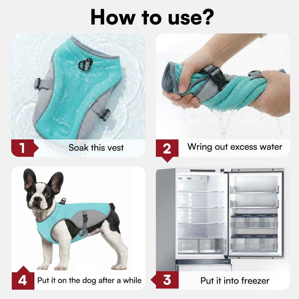 Kühljacke für Hunde