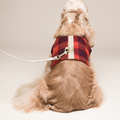 Hundegeschirr mit Leine für kleine Hunde | LuxeStyle