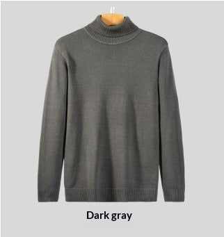 Herren Rollkragenpullover