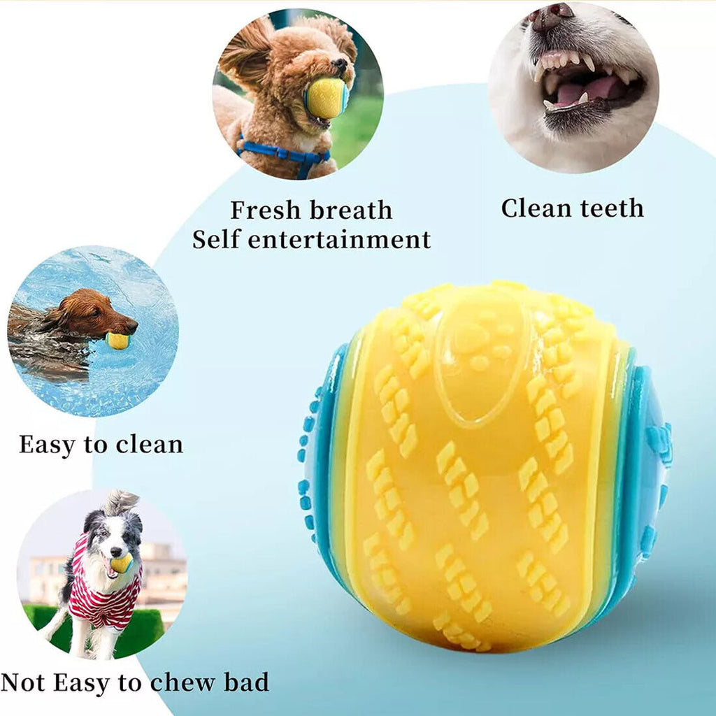 Scooby-Doo Quietschbälle für Hunde, 8er-Set