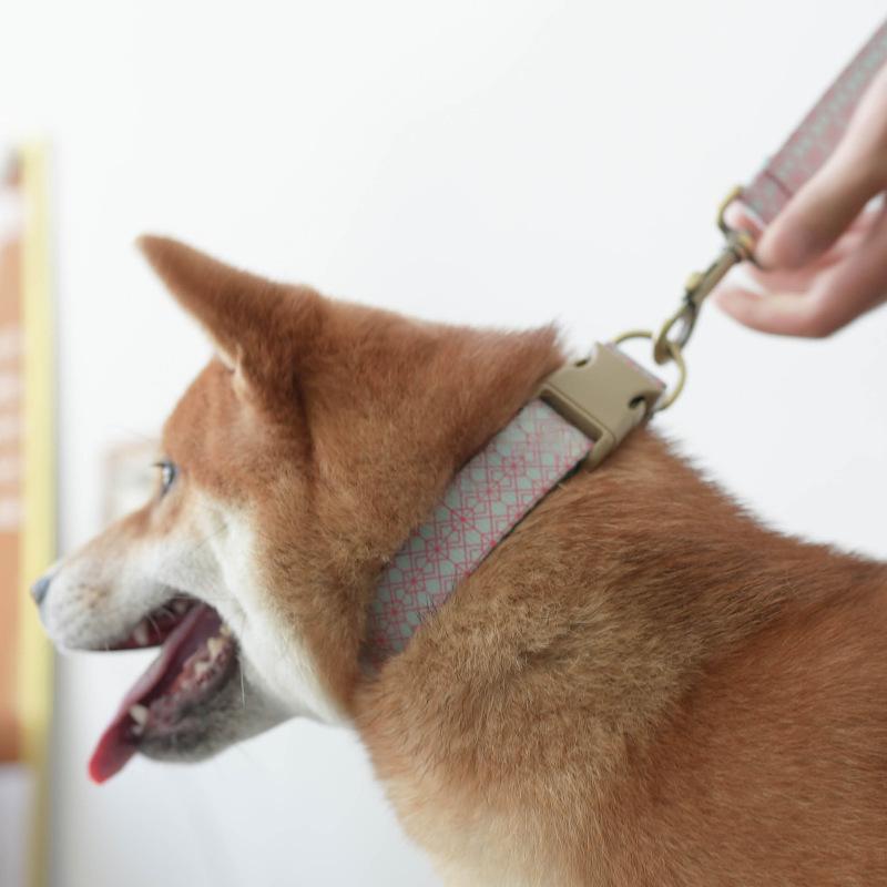 Hundehalsband und Leine Set – Bild 4 | LuxeStyle