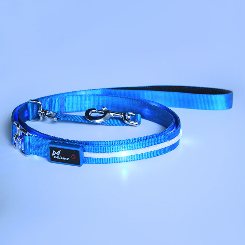 Leuchtende LED-Hundeleine mit USB-Ladefunktion | LuxeStyle