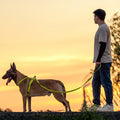 Hundeleine und -geschirr für mittelgrosse und grosse Hunde