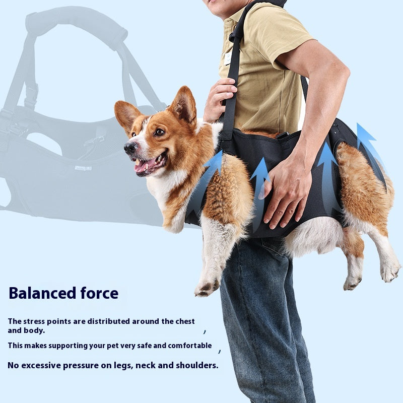 Hundetragetuch