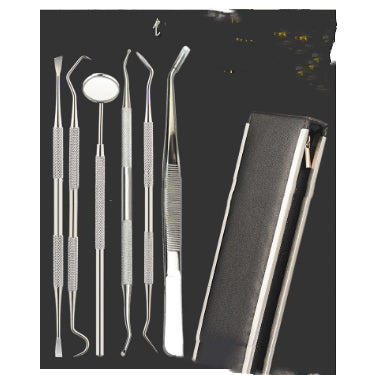 5-teiliges Dentalhygiene-Set aus Edelstahl – Bild 1 | LuxeStyle