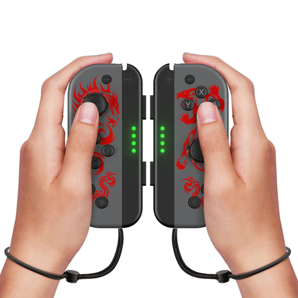 NS Dual Gamepad mit Handschlaufe