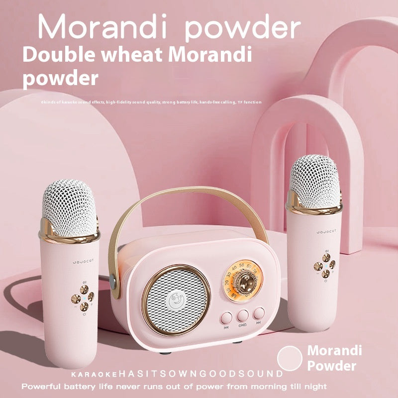 Portables Bluetooth Audio mit kabellosem Mikrofon