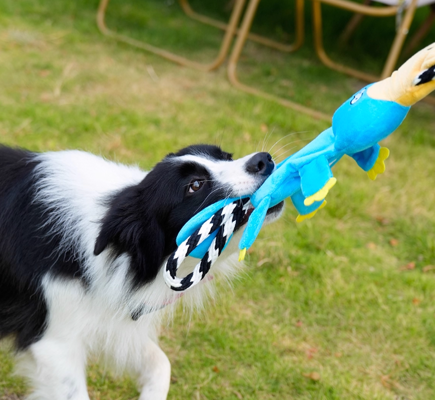 Kau-Spielzeug für Hunde – Bild 3 | LuxeStyle