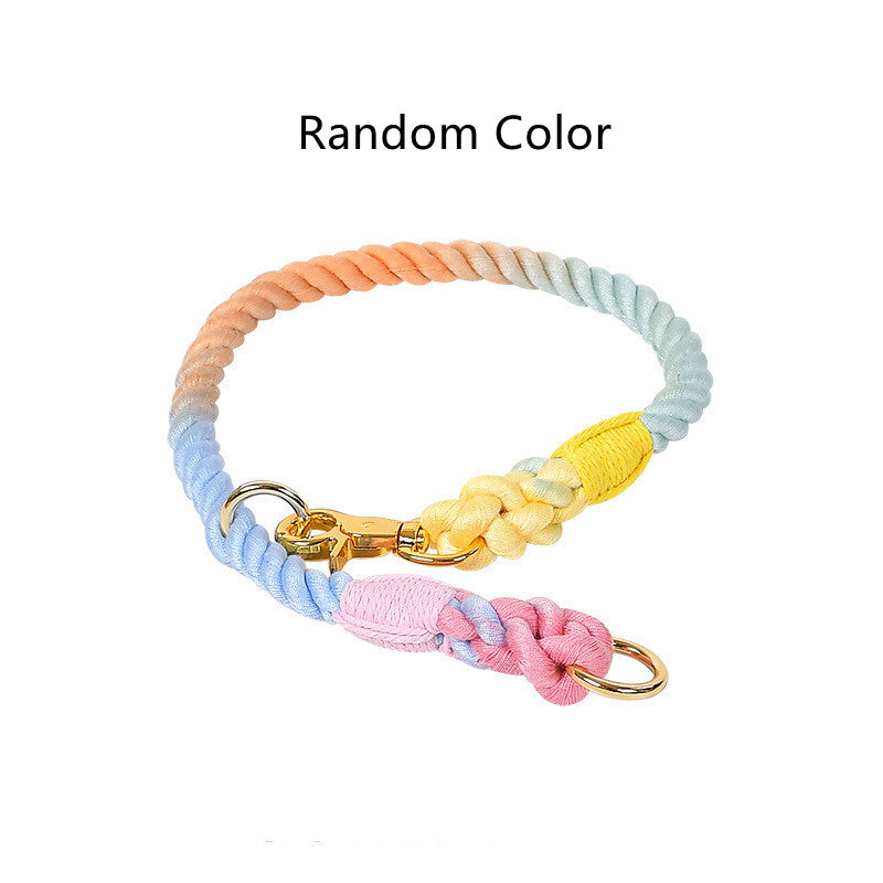 Hundefreundliche Leine – Bild 4 | LuxeStyle