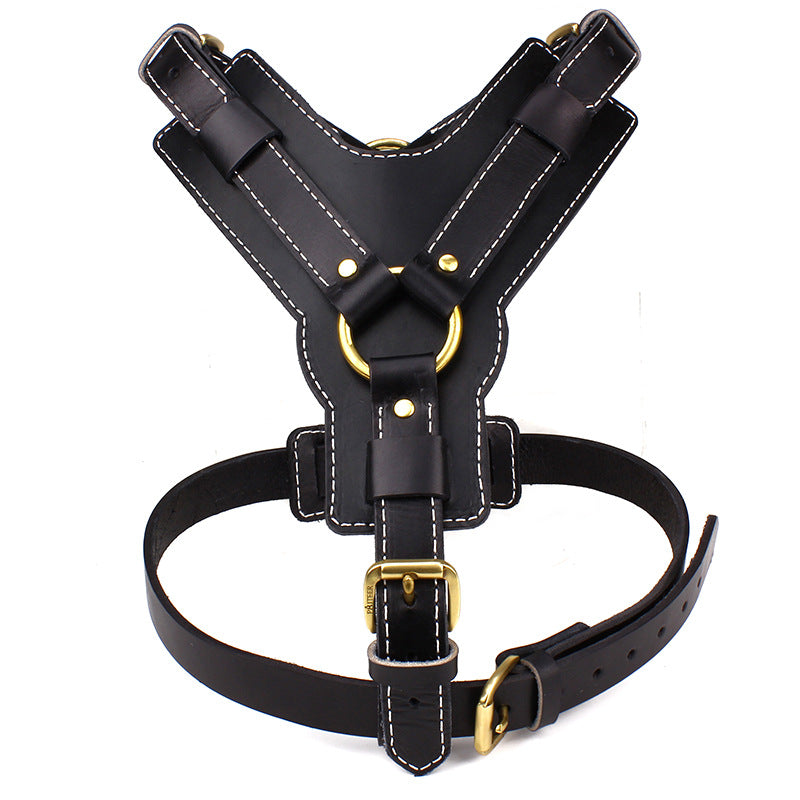 Leder-Brustgeschirr für Hunde – Bild 5 | LuxeStyle