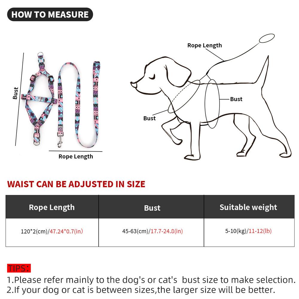Nylon-Hundeleine für mittelgrosse Hunde – Bild 7 | LuxeStyle