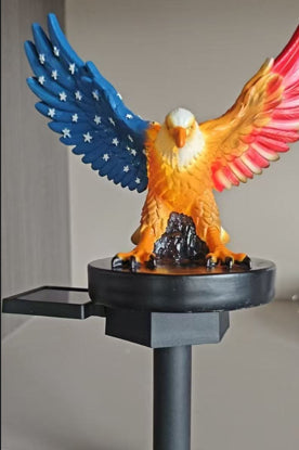 Amerikanischer Adler in Garten