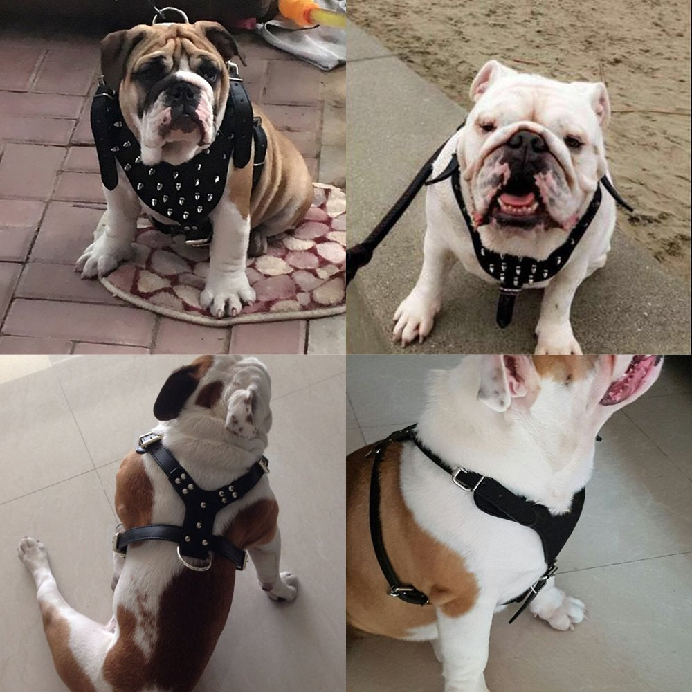 Hundegeschirr mit Nieten | LuxeStyle