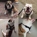 Hundegeschirr mit Nieten | LuxeStyle