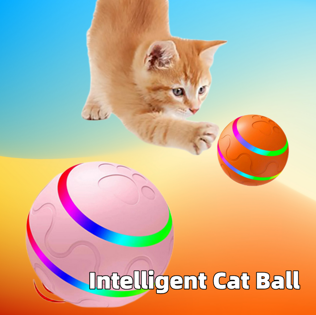 Intelligente Katzenkugel