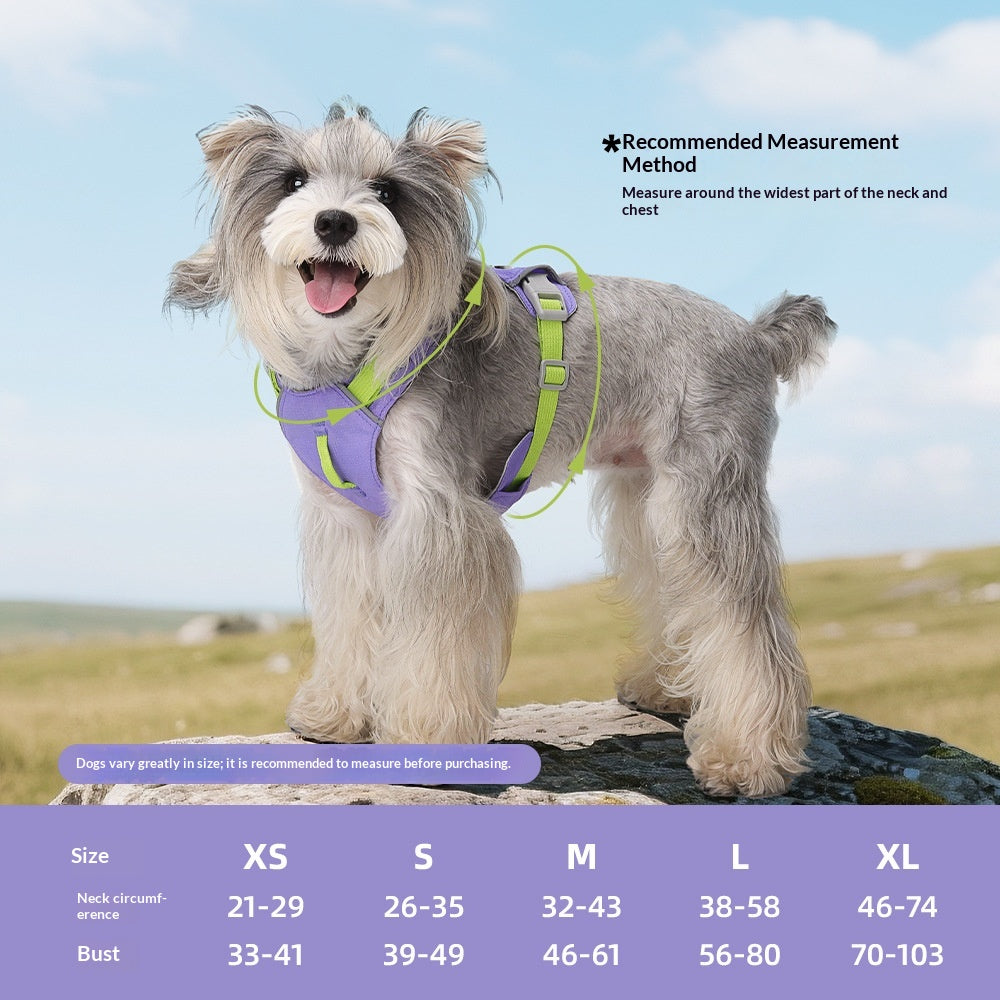 Wasserdichter Hundegurt