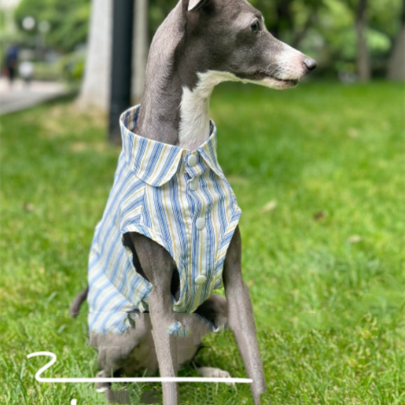 Baumwoll-Shirt für Hunde | LuxeStyle