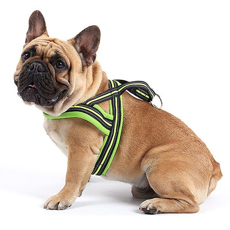 Hunde-Geschirr