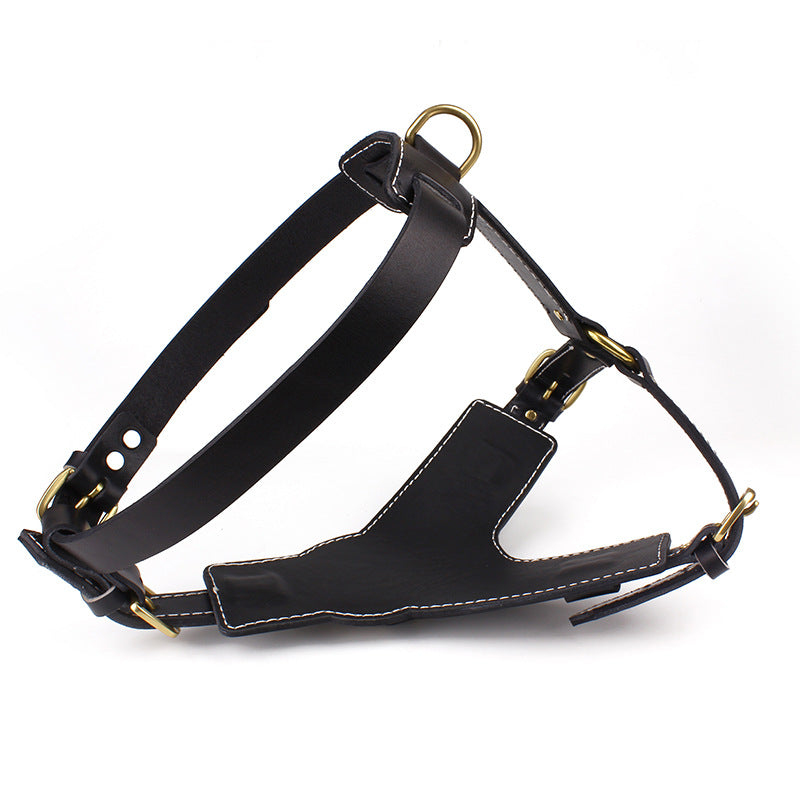 Leder-Brustgeschirr für Hunde – Bild 2 | LuxeStyle