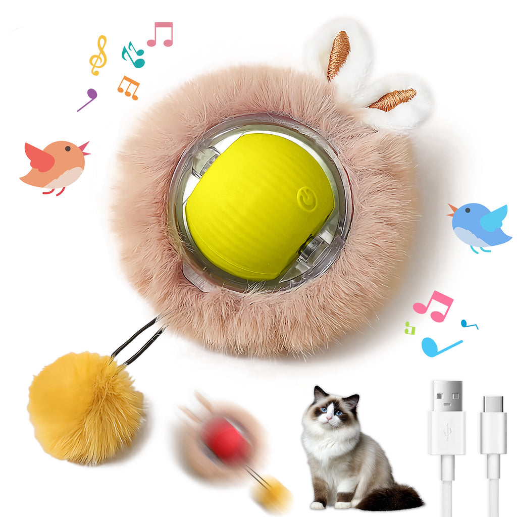 Interaktiver Spielball für Haustiere