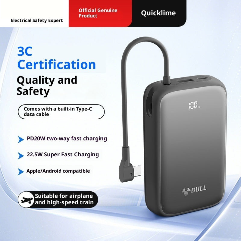 Powerbank 20000 mAh mit Kabel, 22.5W Fast Charge