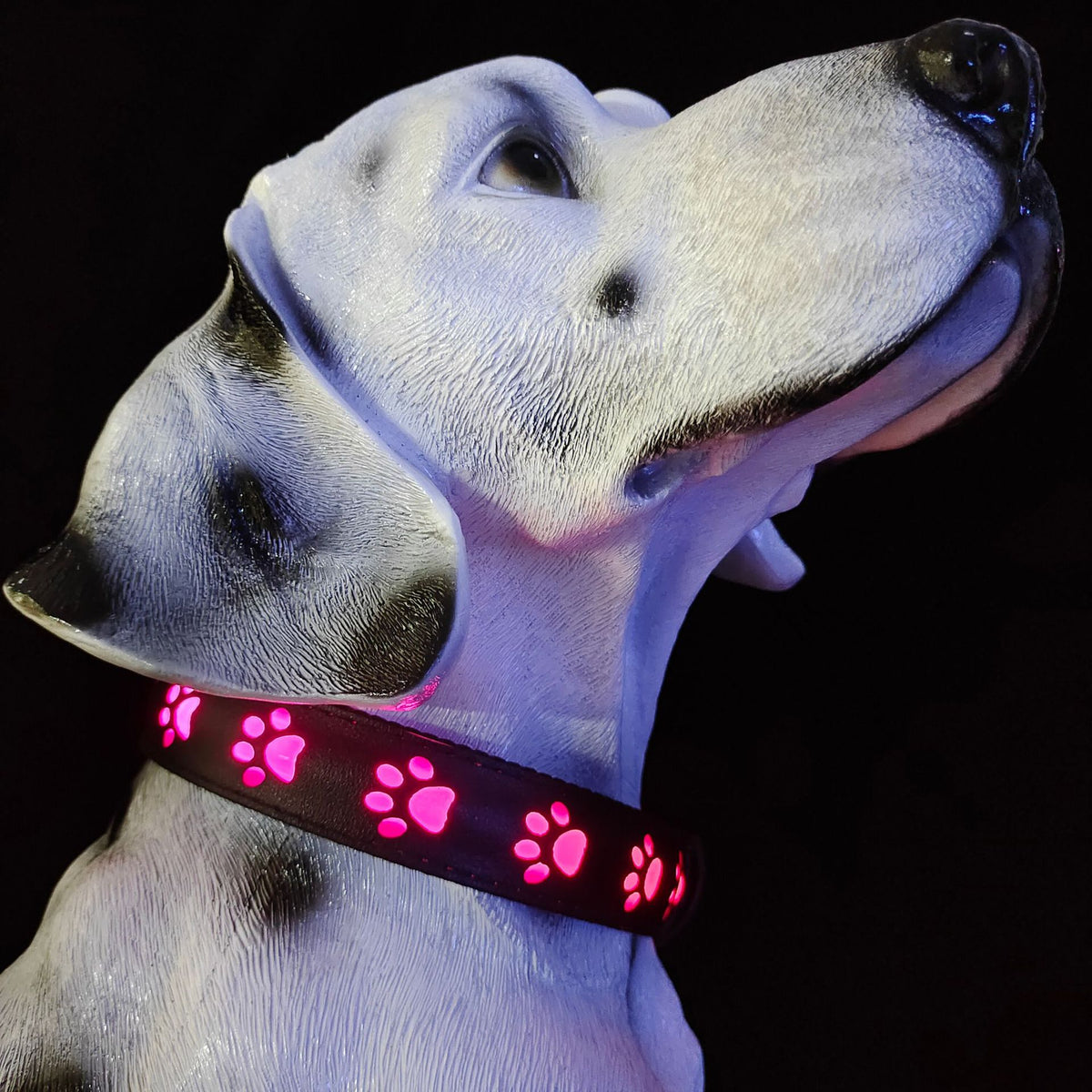 LED Leuchthalsband für Hunde, 7 Farben – Bild 6 | LuxeStyle