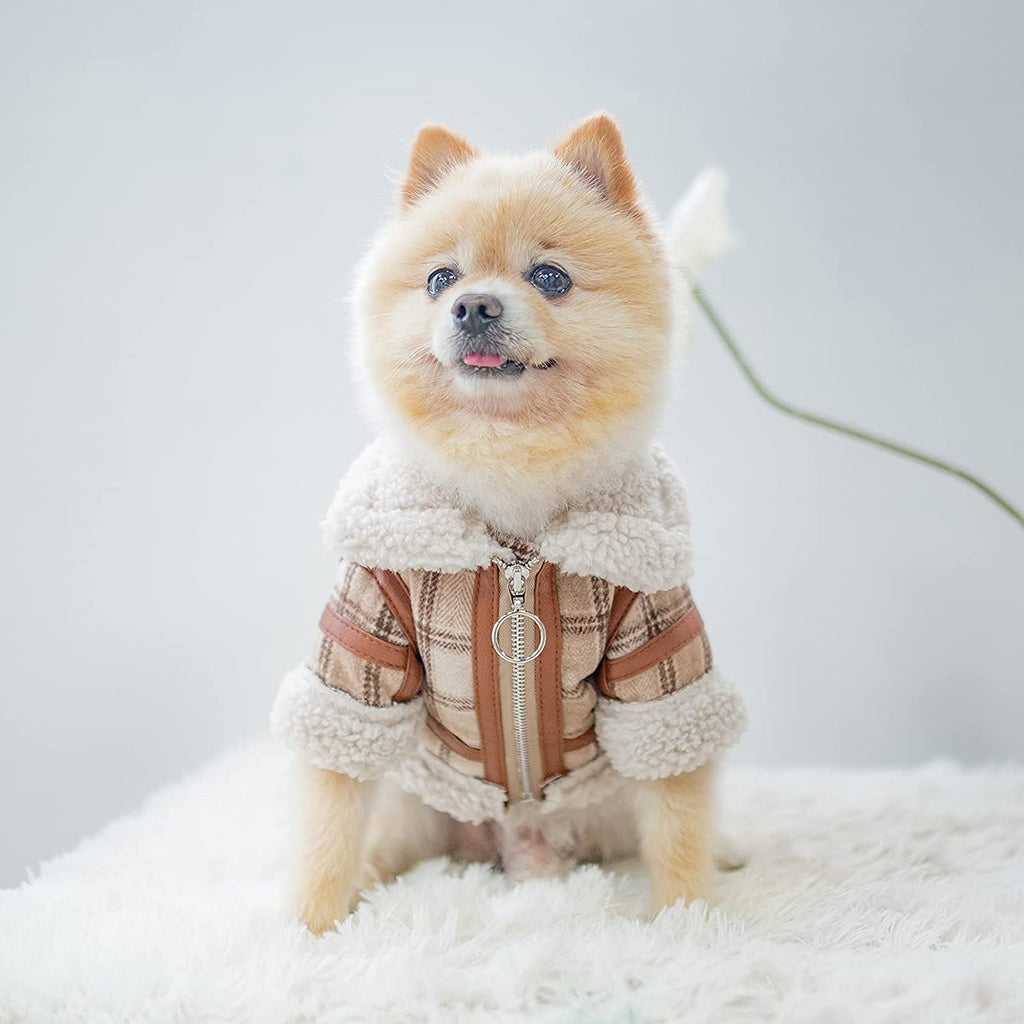 Karierte Hundekleidung