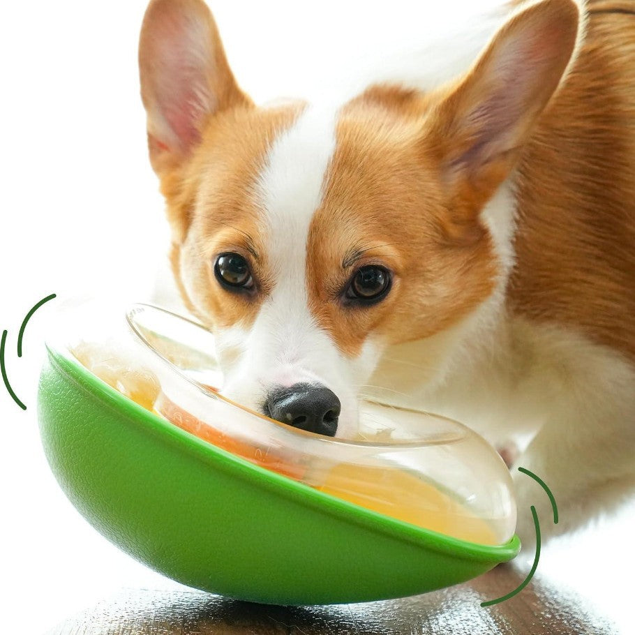 Avocado-Futter Schüssel