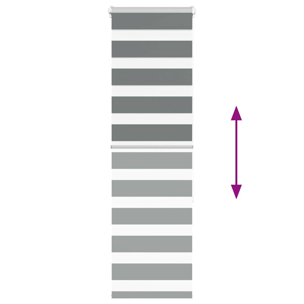 Zebra-Rollo