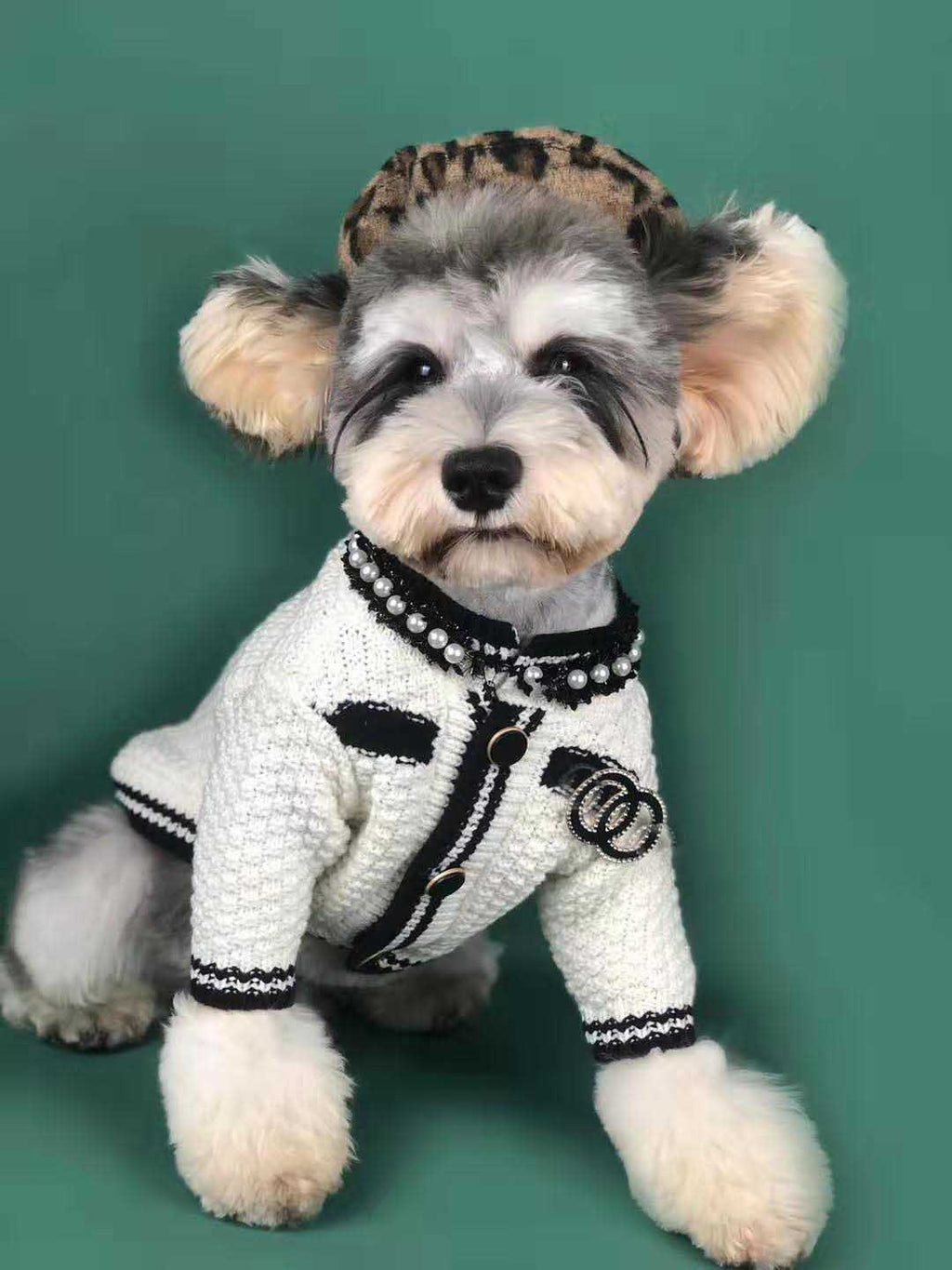 Hundestrickpullover für kleine Rassen, schwarz-weiss – Bild 4 | LuxeStyle
