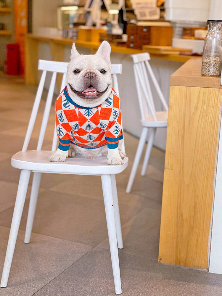 Weisses Wollpullover für Hunde und Katzen – Bild 12 | LuxeStyle