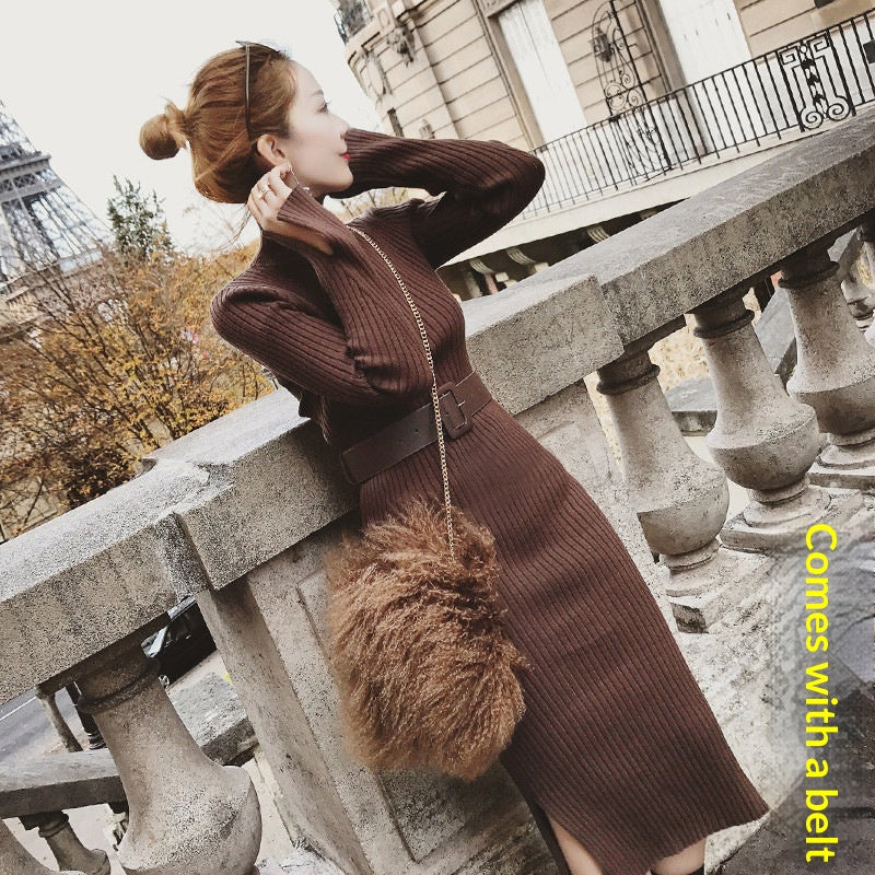 Rollkragen Strickkleid mit Schlitz