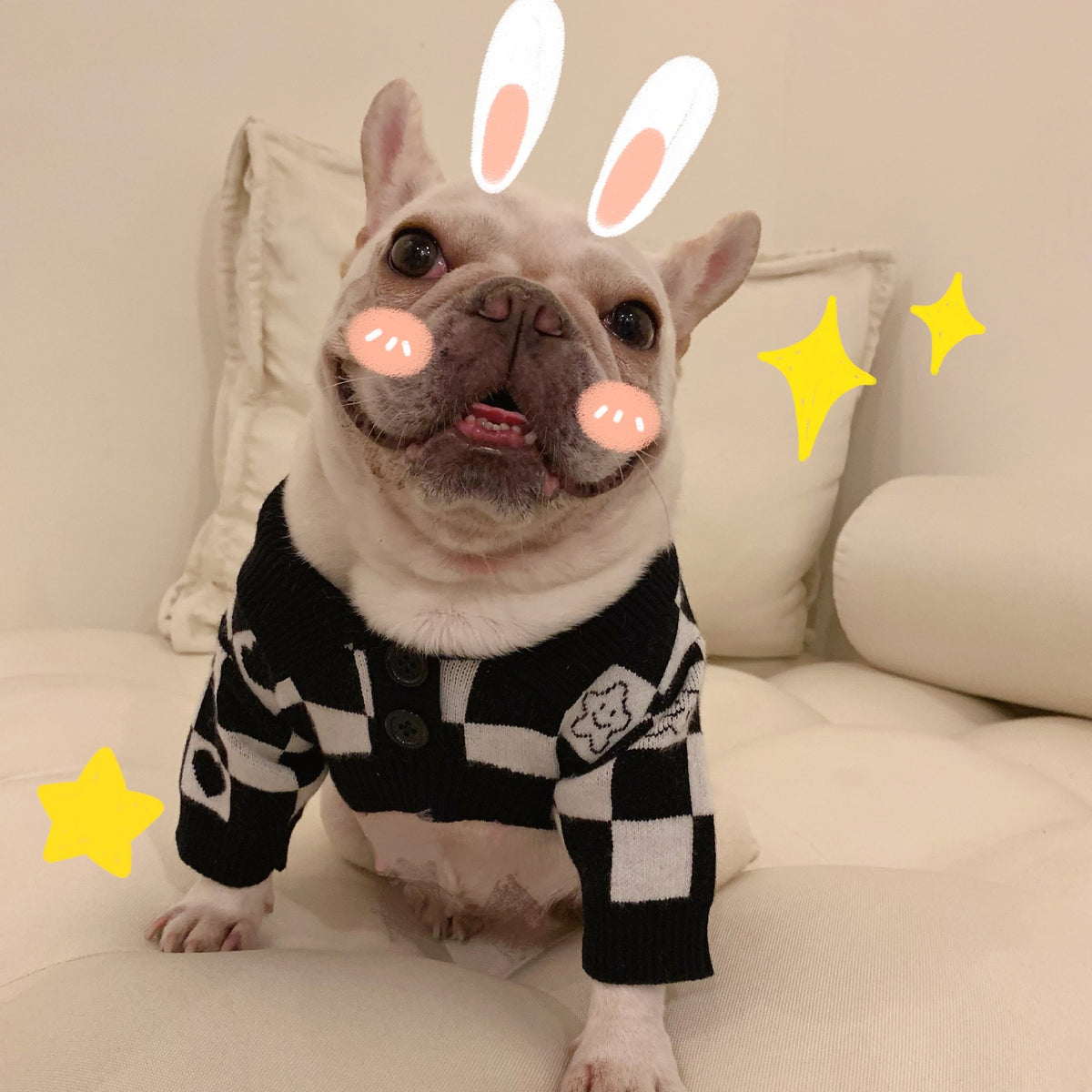Winterpullover für Hund und Katze – Bild 4 | LuxeStyle