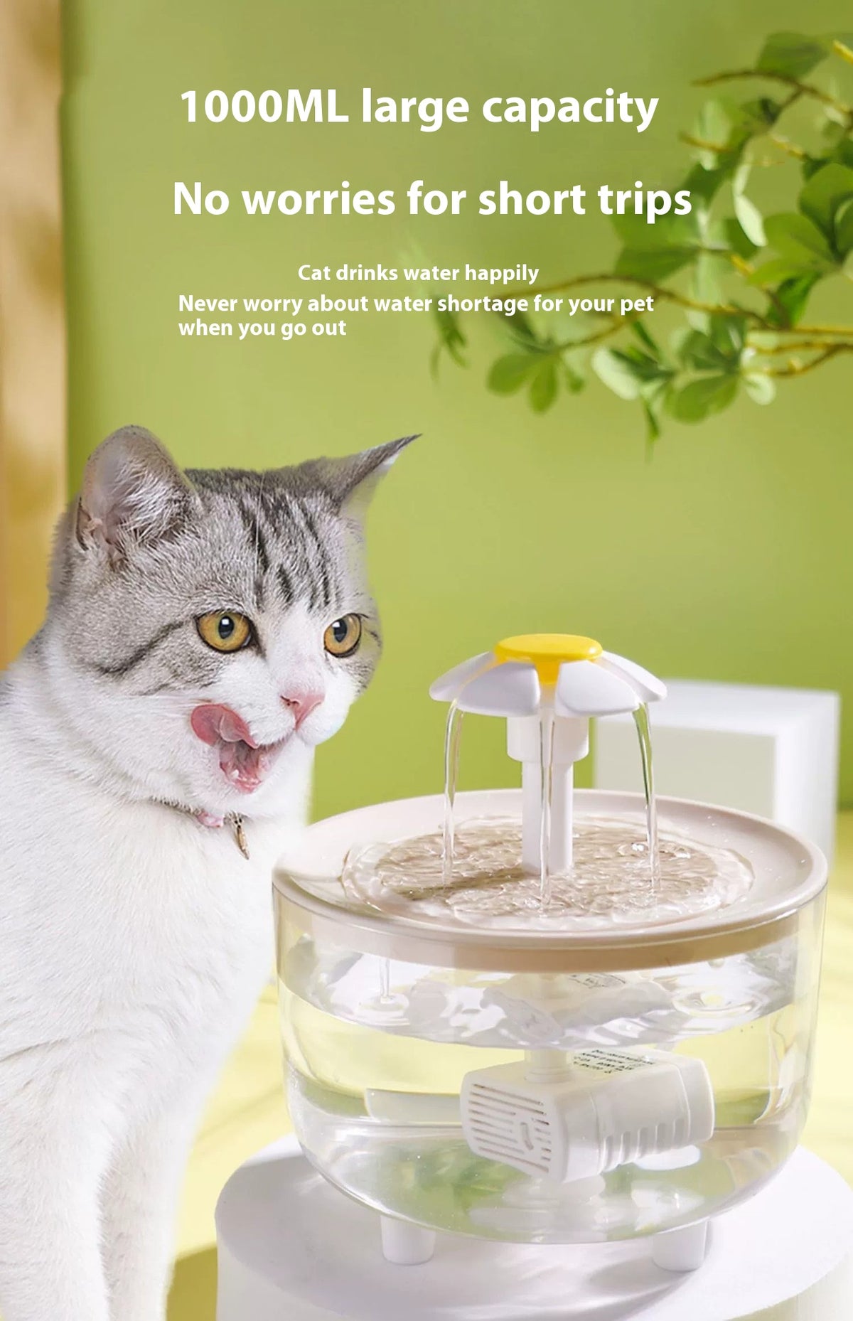 Katzenwasserquelle – Bild 3 | LuxeStyle