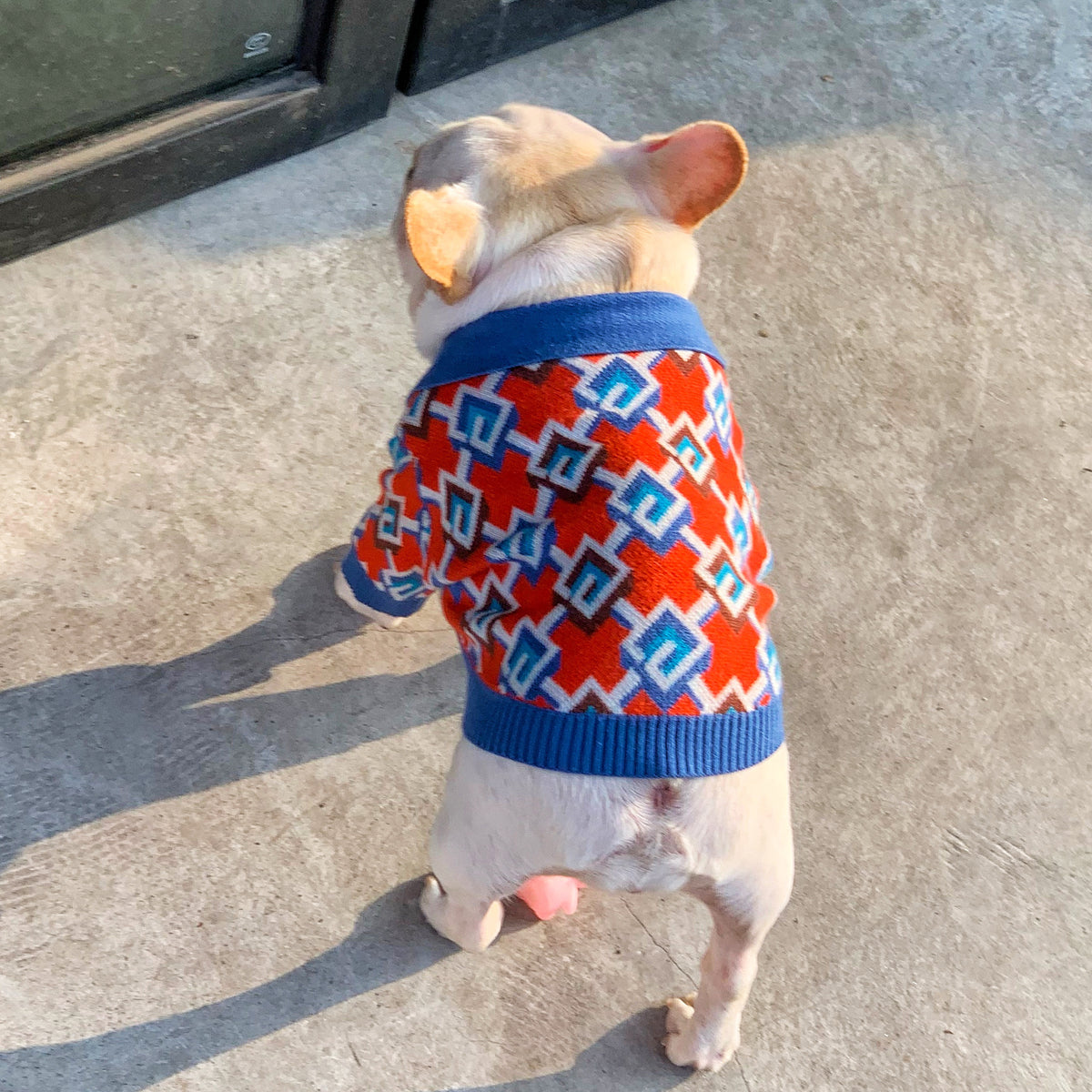 Wollpullover für Hund und Katze, dunkelrot – Bild 6 | LuxeStyle