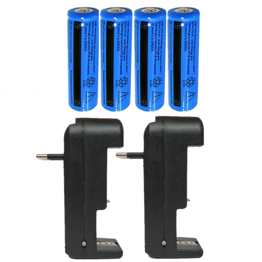 Akku-Ladegerät mit 2 Li-Ion Akkus 3.7V 3000mAh