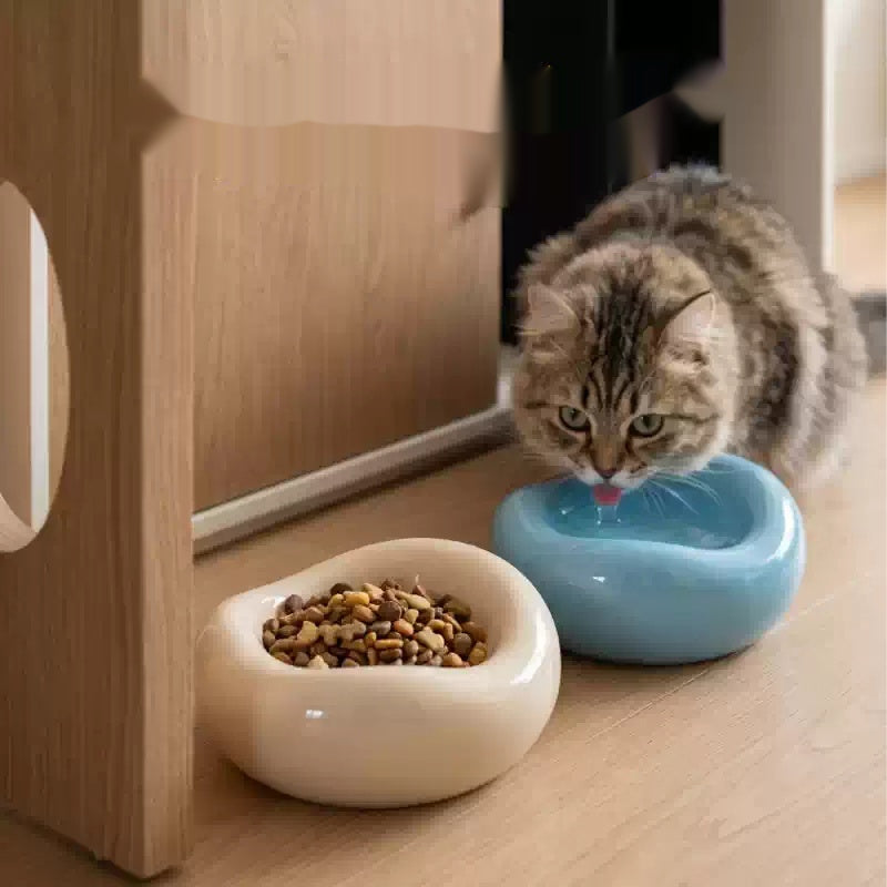 Keramik Futternapf für Katzen